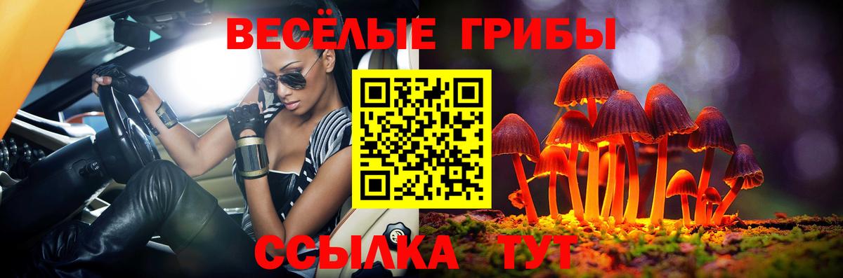 Сертолово  Галлюциногенные грибы мицелий  Вход с VPN 